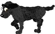 lucky_point.gif (8179 bytes)